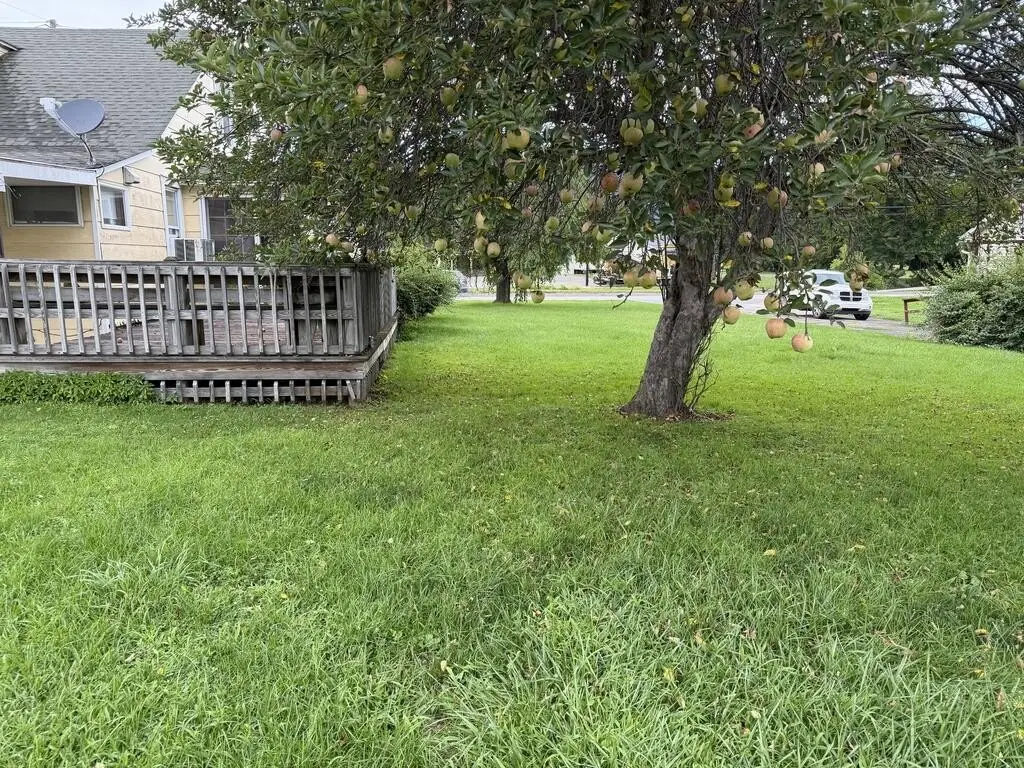 Picture 20