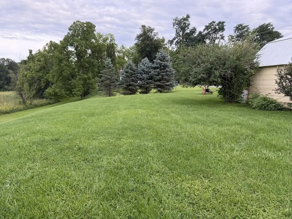 Picture 21