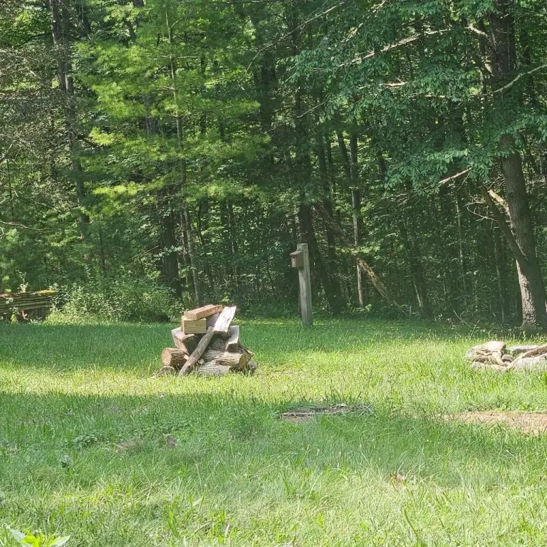 Picture 6