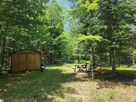 Wooded Land in Kalkaska County