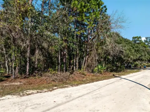 Residential Land in Weeki Wachee