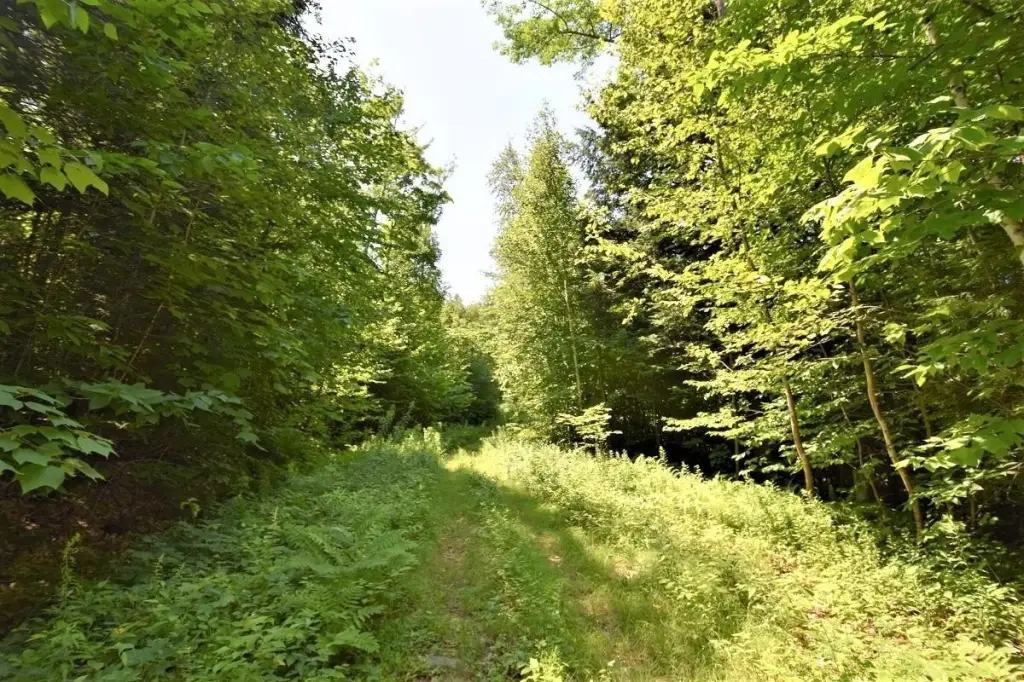 Picture 16