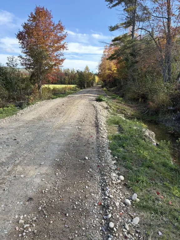 Picture 29