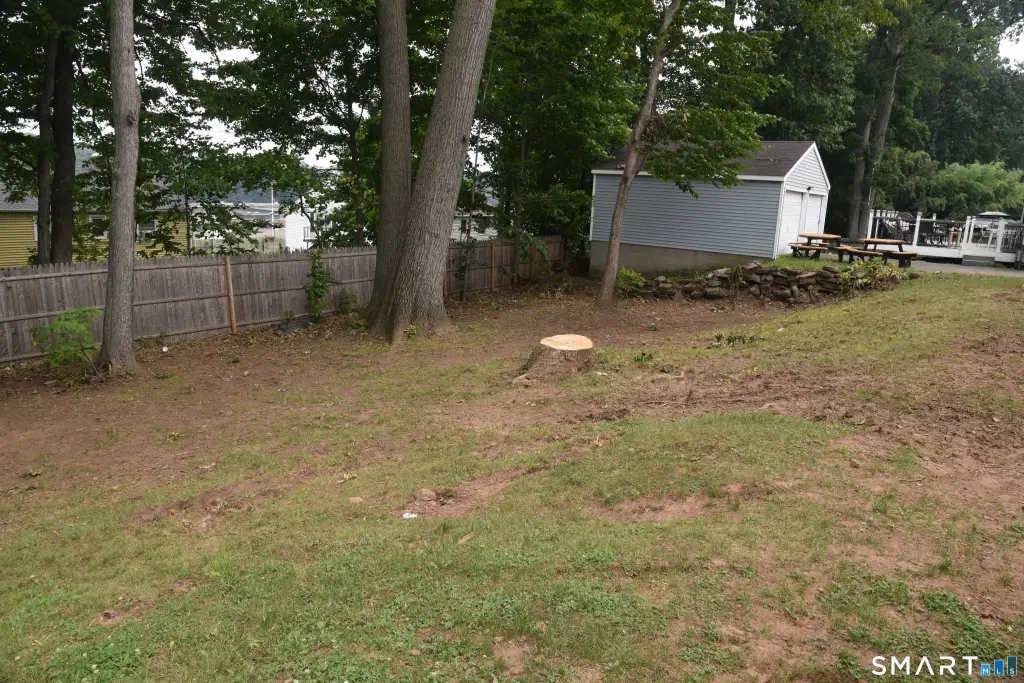 Picture 5