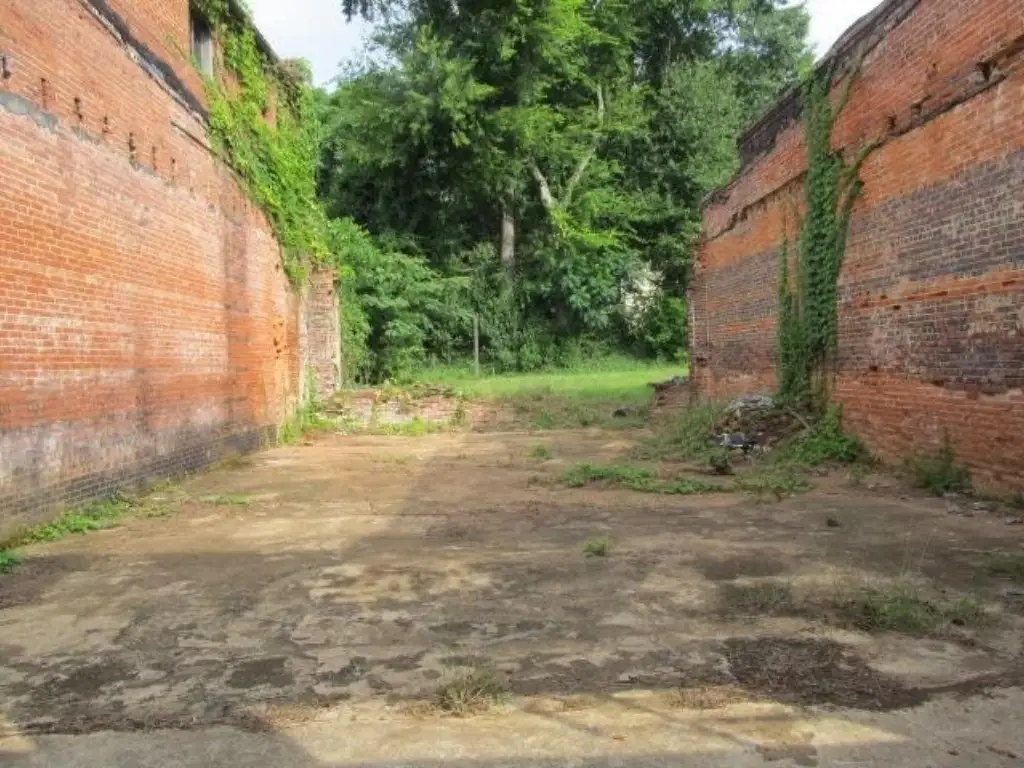 Picture 4