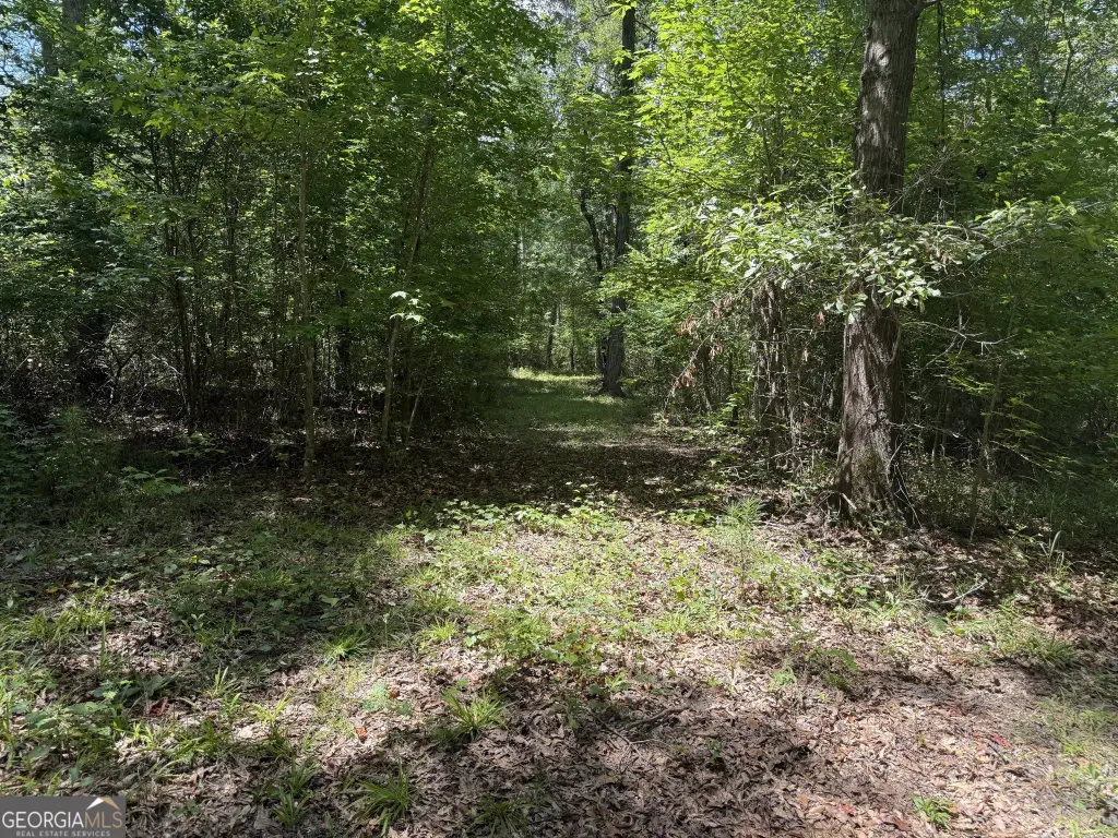 Picture 19
