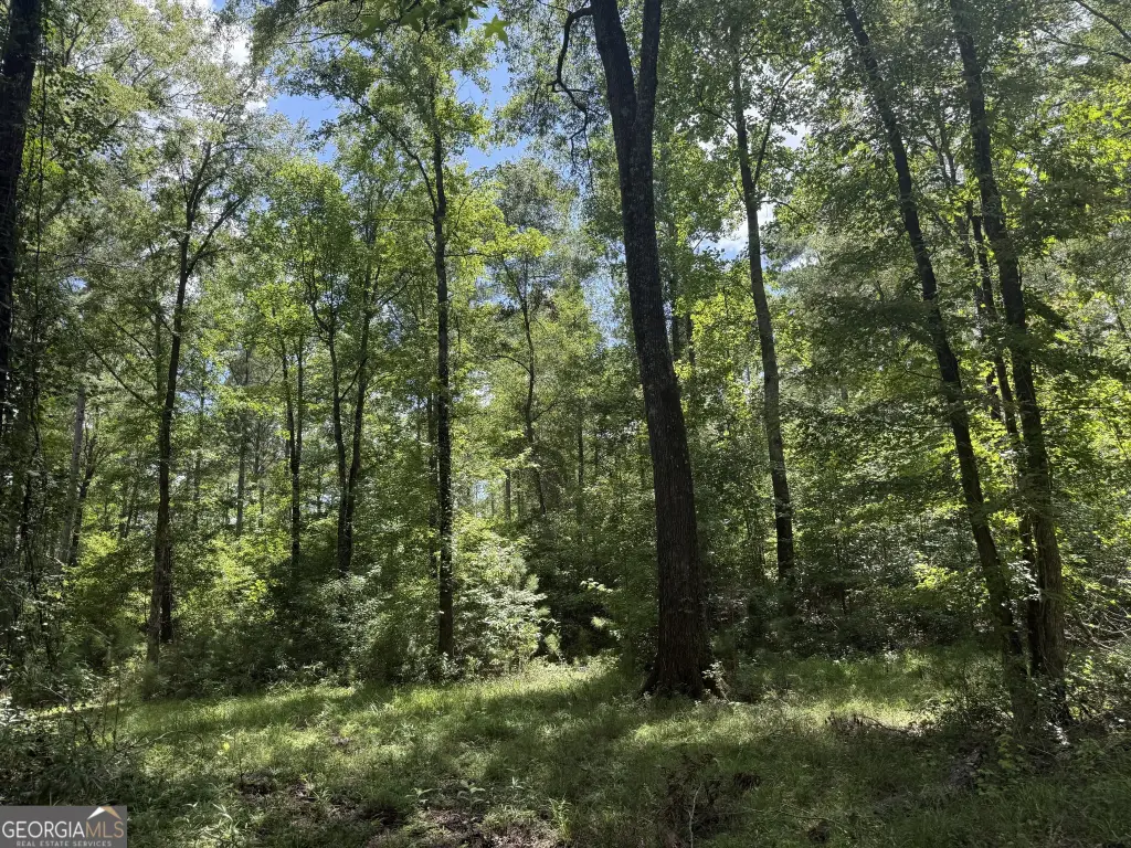 Picture 18
