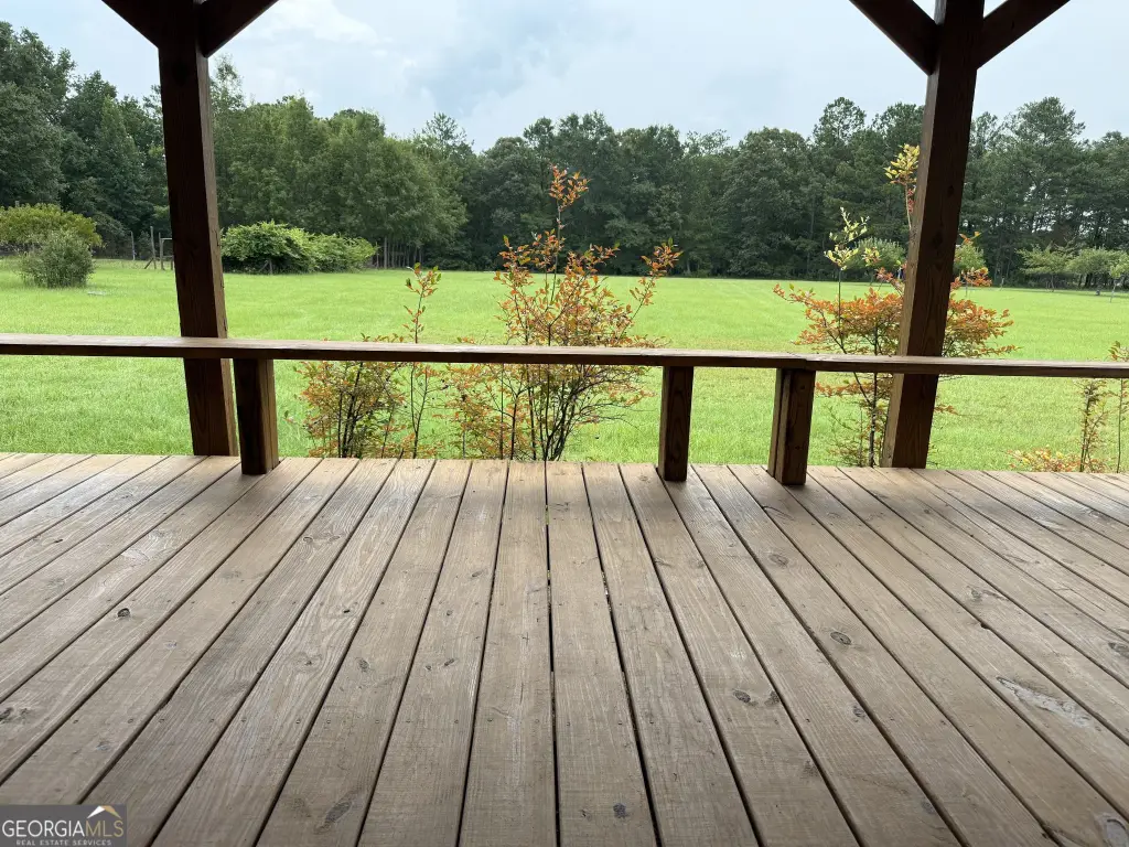 Picture 45