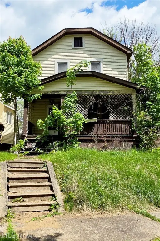 Picture 11