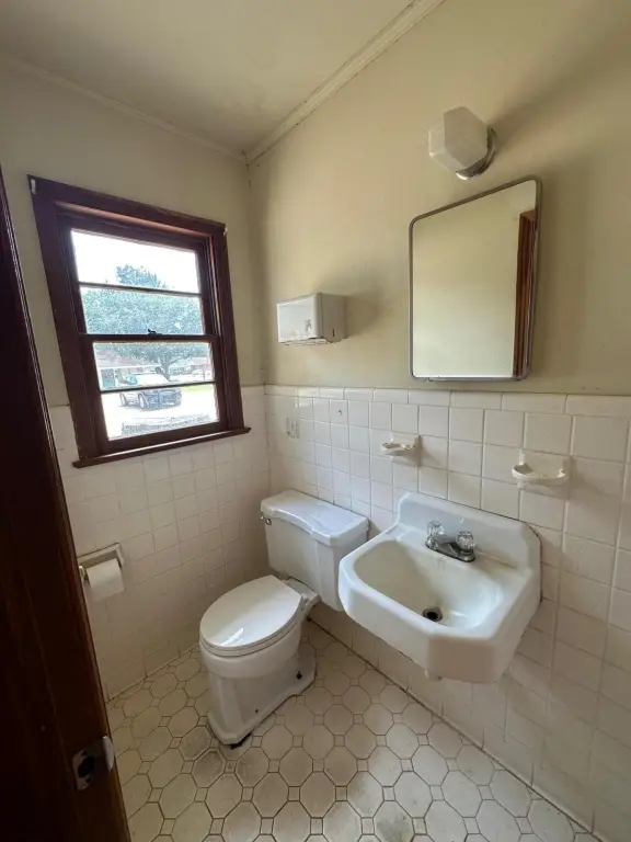 Picture 15