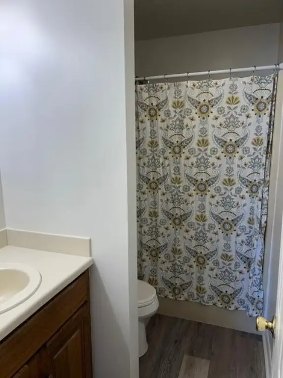 Picture 43