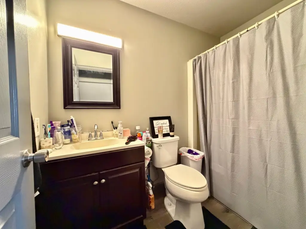 Picture 19