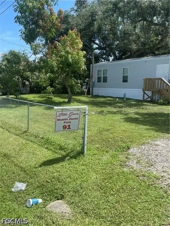 Picture 5