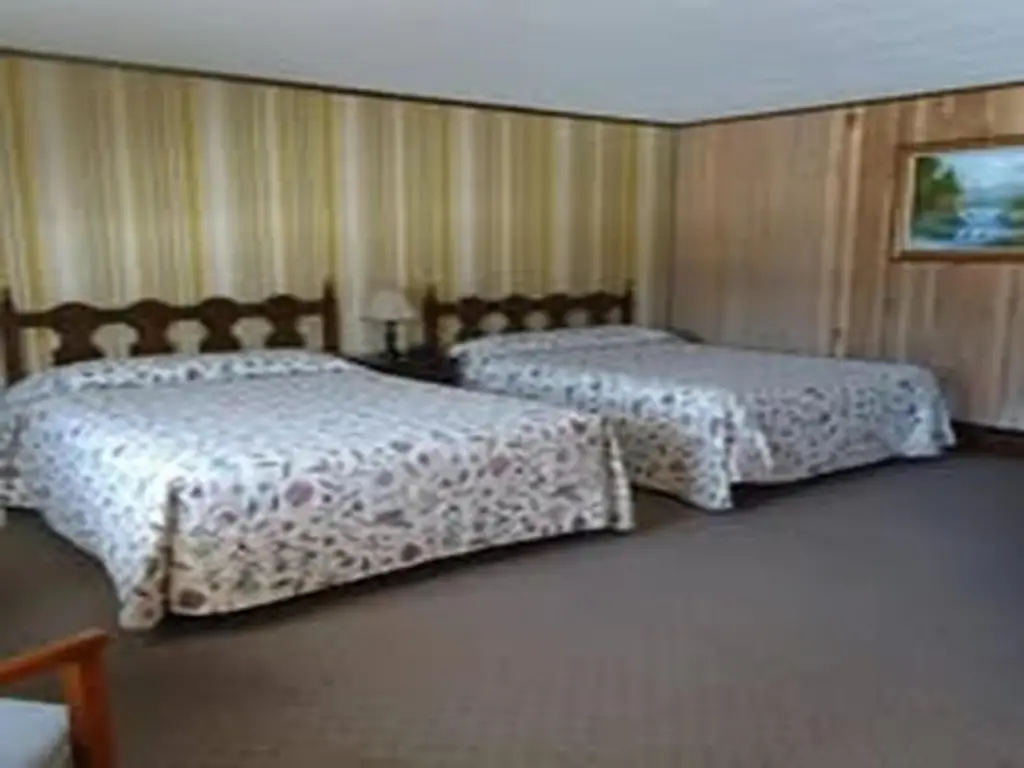 Picture 5