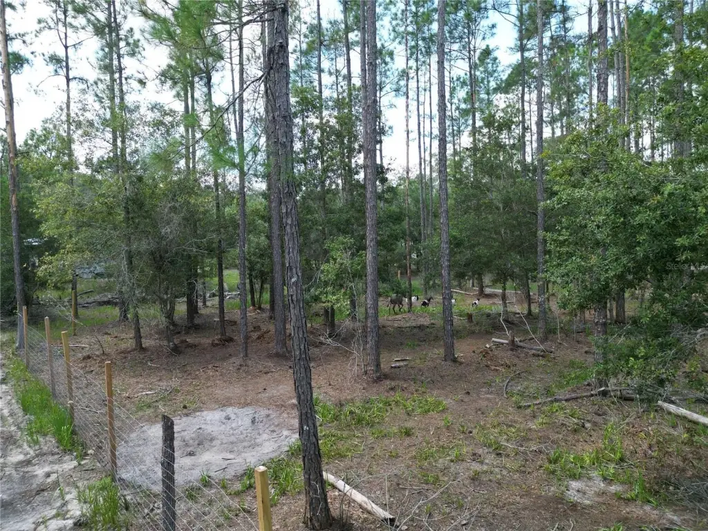 Picture 11