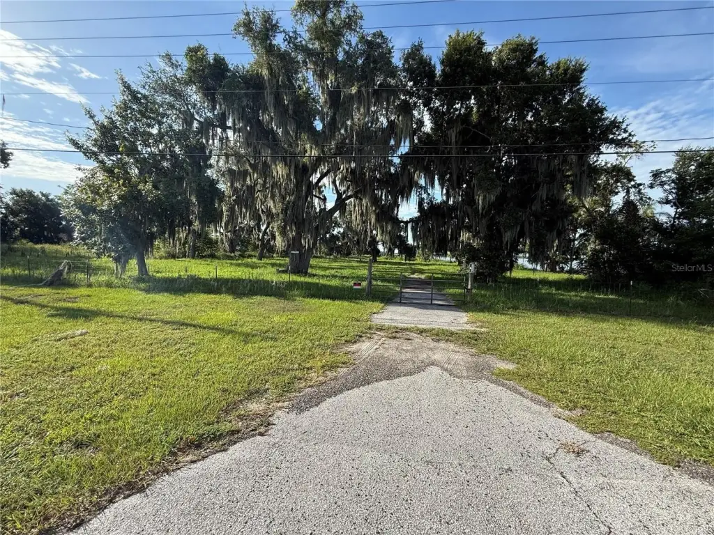 Picture 3