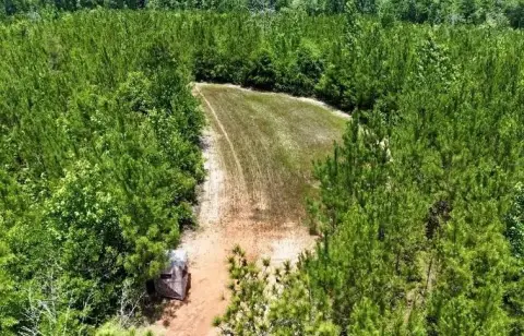 Hunting Land with Creek Bottom