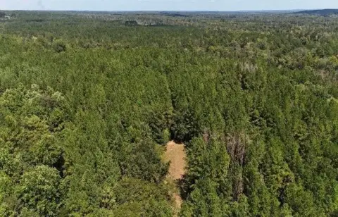 Hunting Land with Food Plots