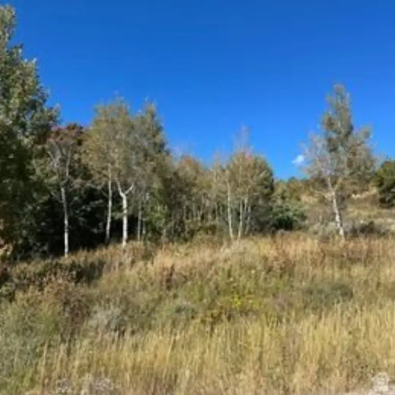 Picture 20