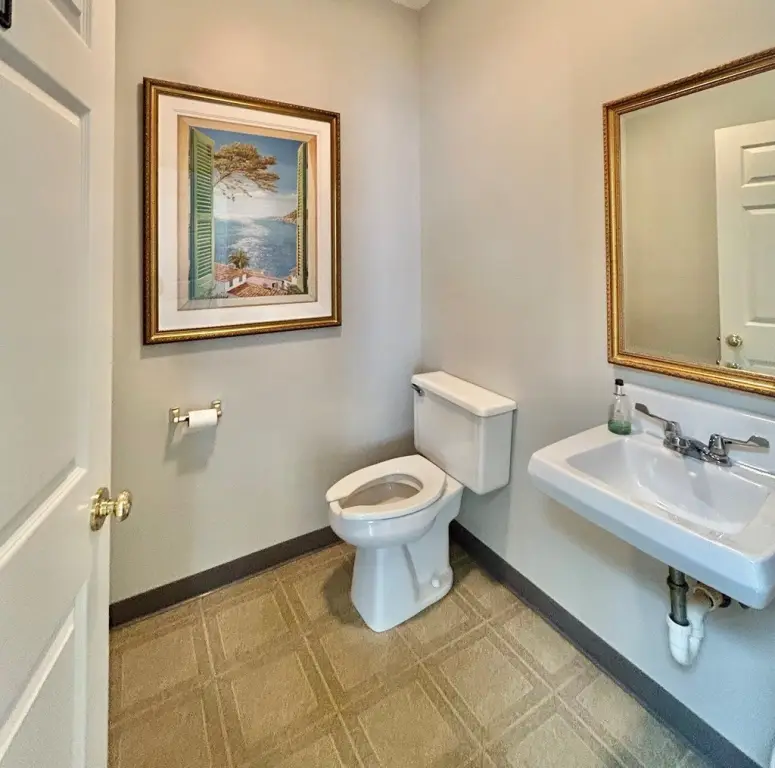 Picture 19