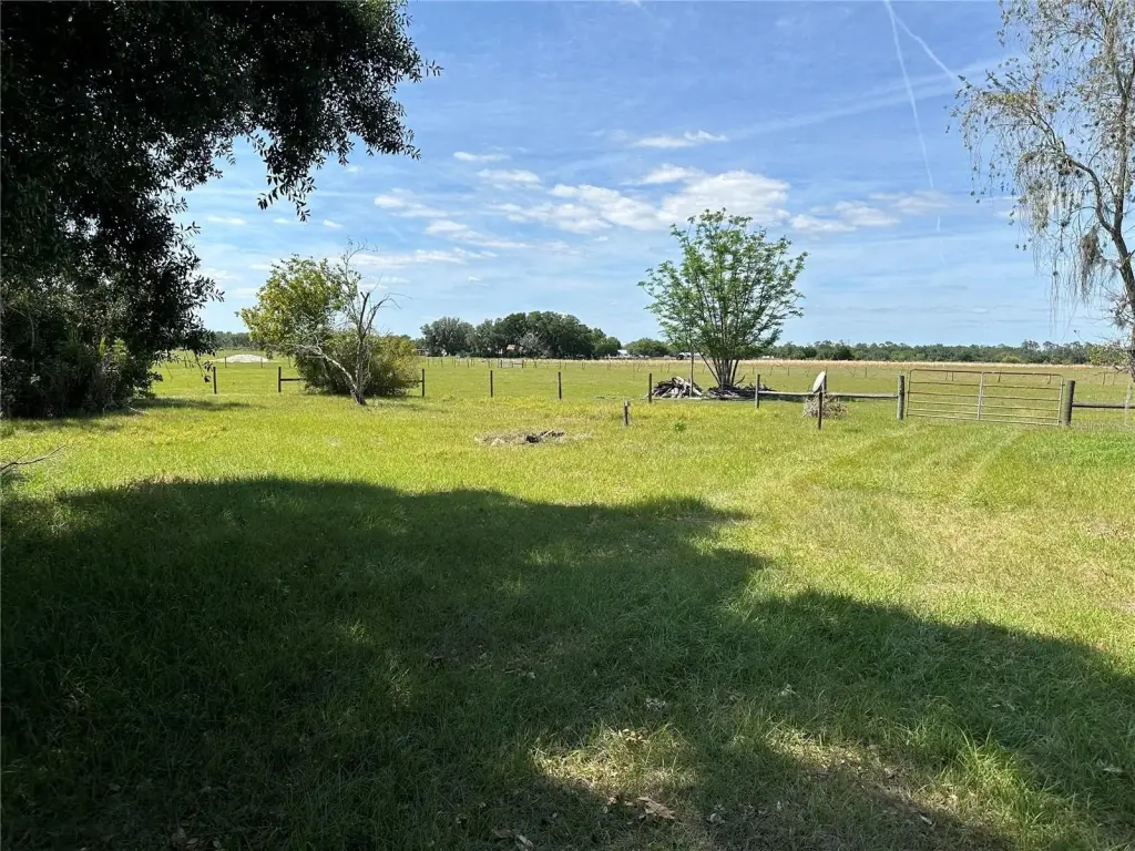 Picture 4