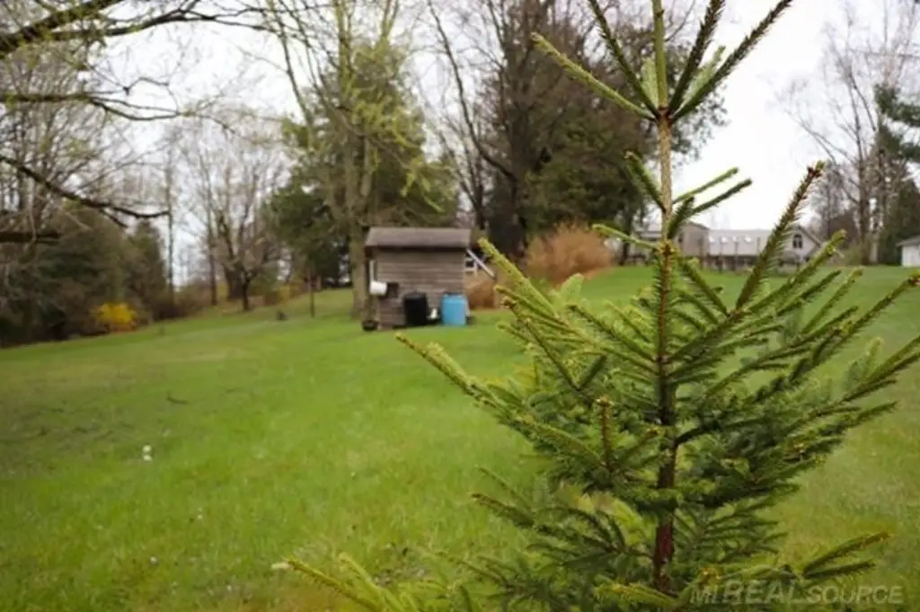 Picture 11