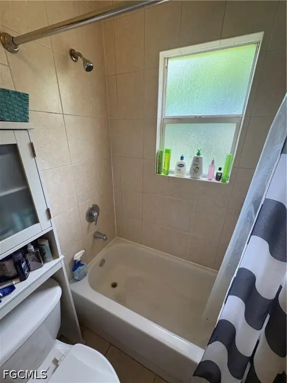 Picture 5