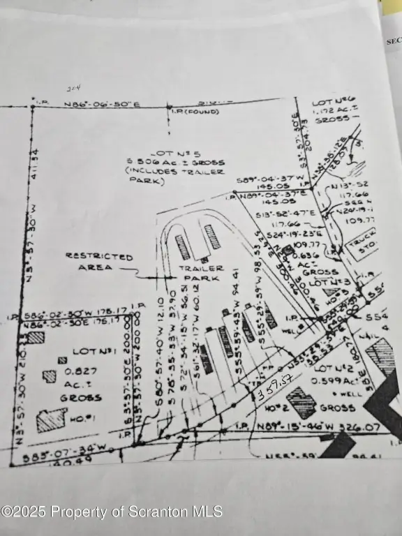 Picture 5