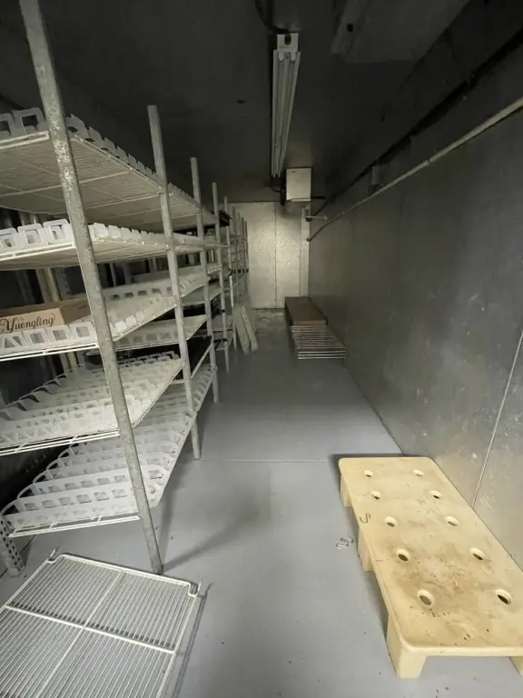 Picture 15