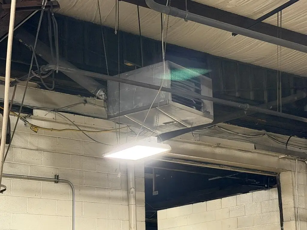 Picture 41