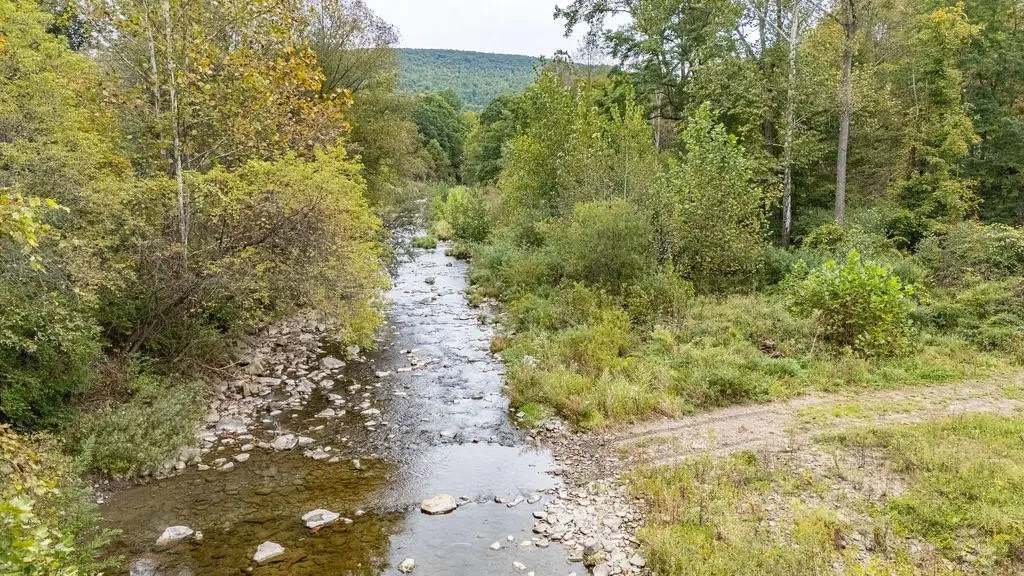 Picture 3