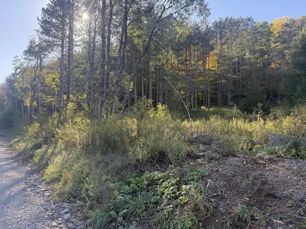 Picture 5