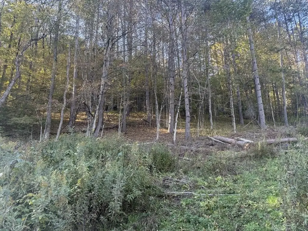 Picture 3