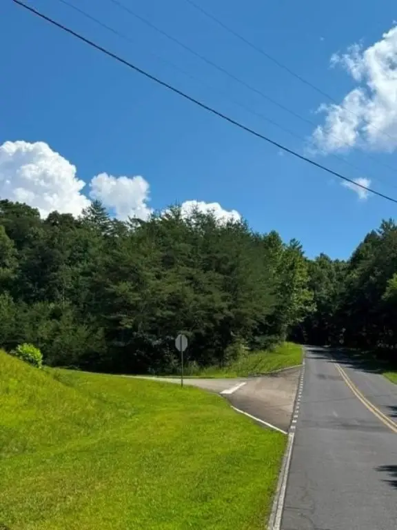 Picture 8