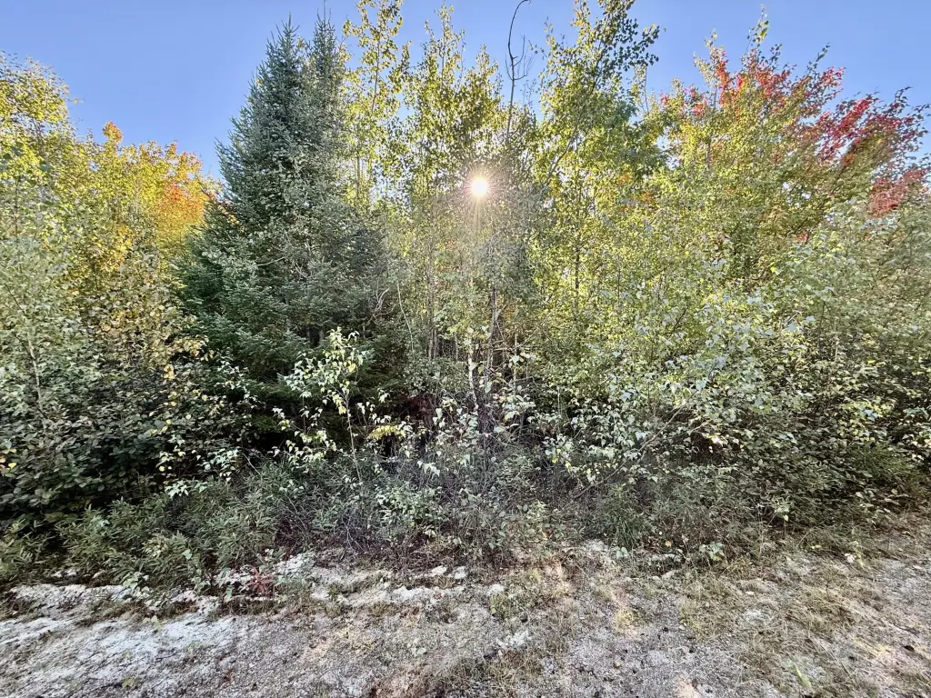 Picture 5