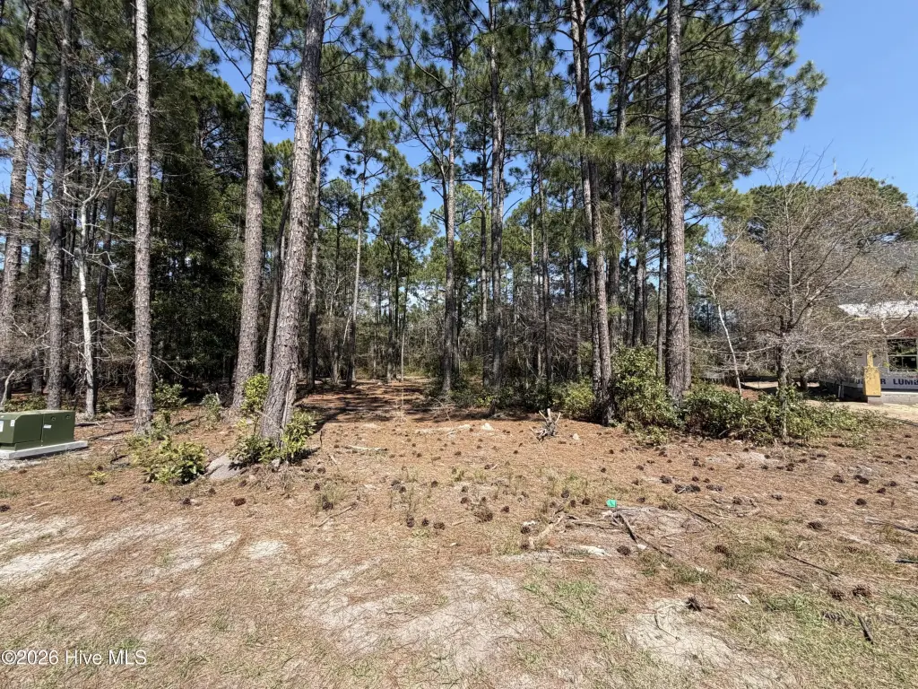 Picture 6