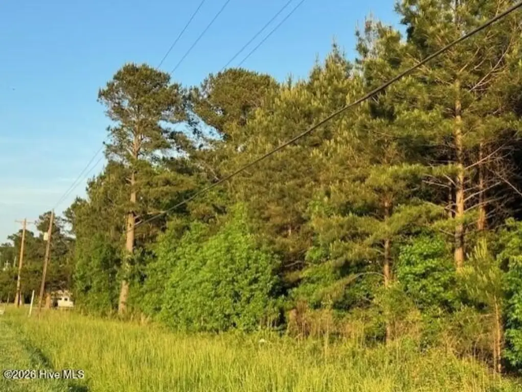 Picture 10