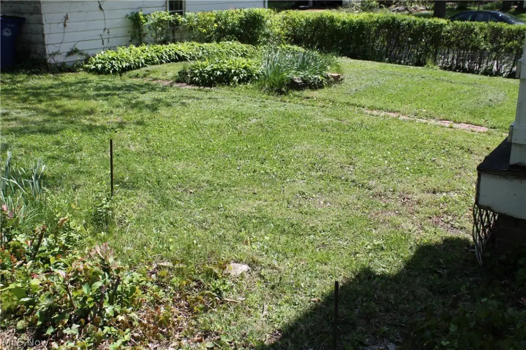 Picture 7