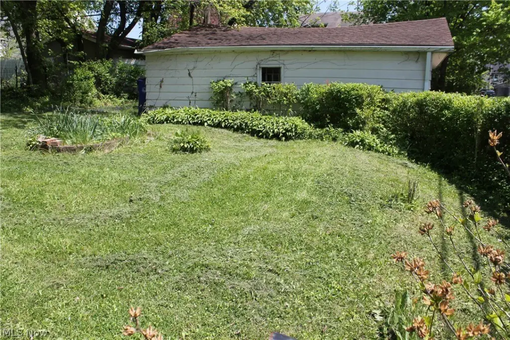 Picture 5