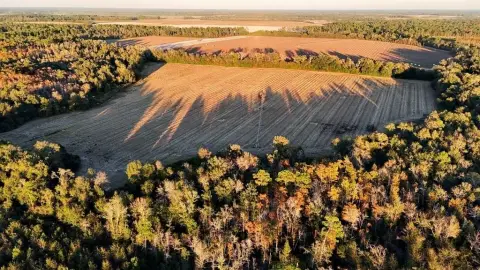 Arlington, GA Farm/Timberland Opportunity