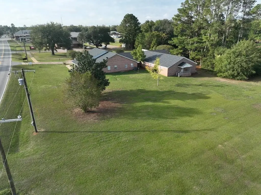 Picture 8