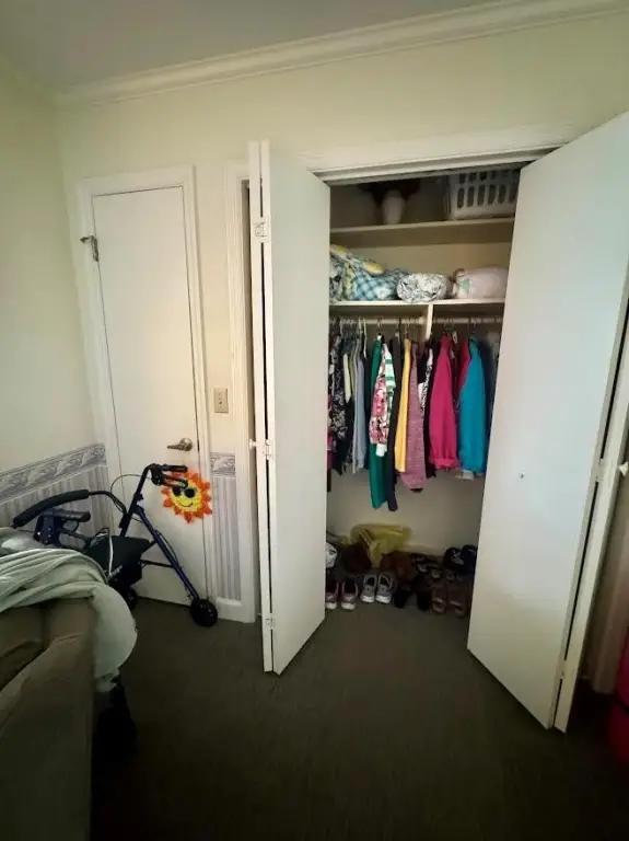 Picture 47