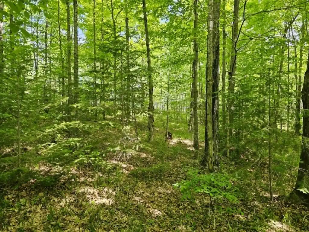 Picture 4