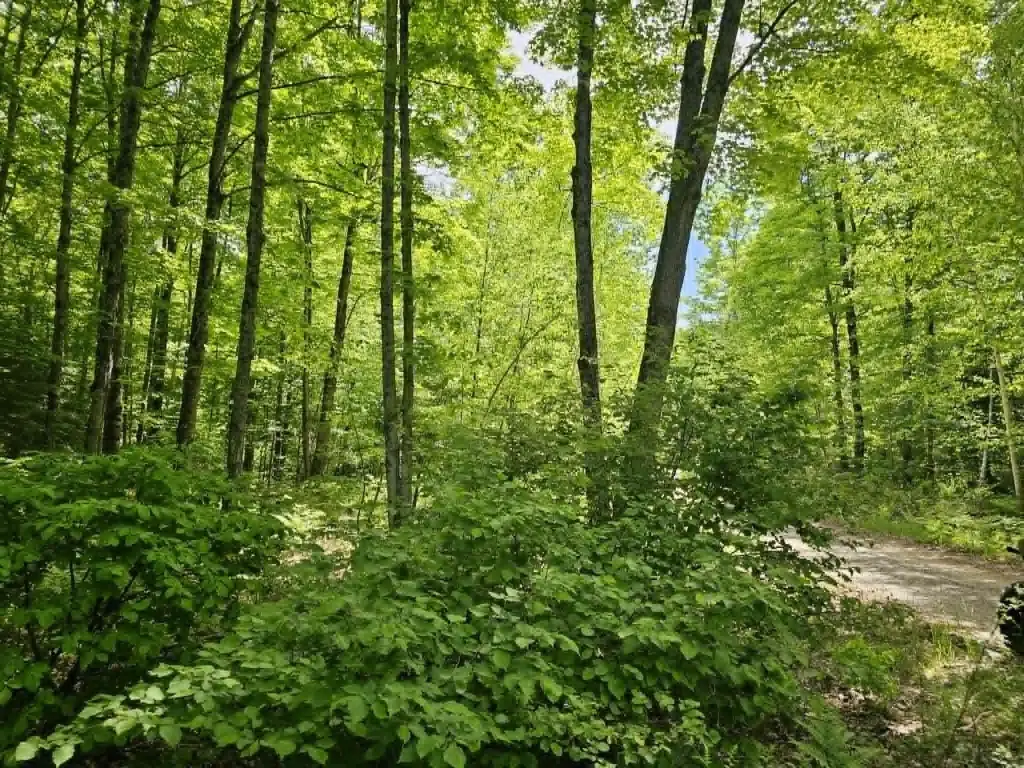 Picture 3