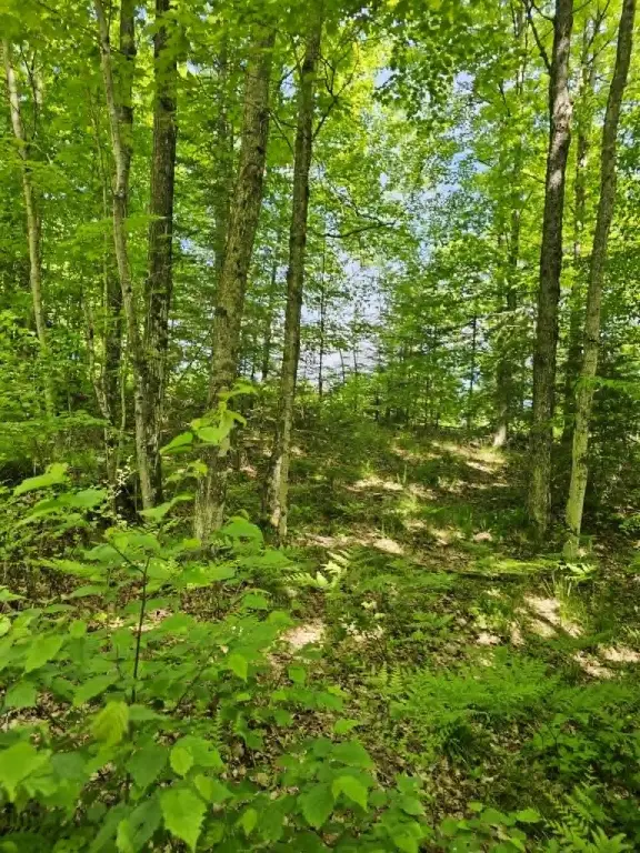Picture 2