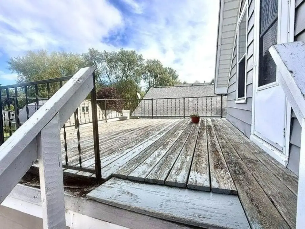 Picture 14
