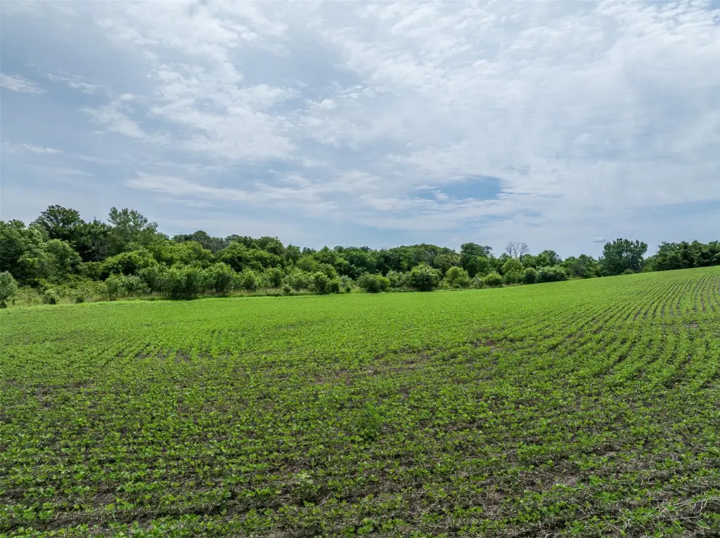 Picture 13