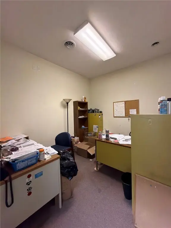 Picture 21