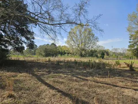 Residential Land in Summerton, SC