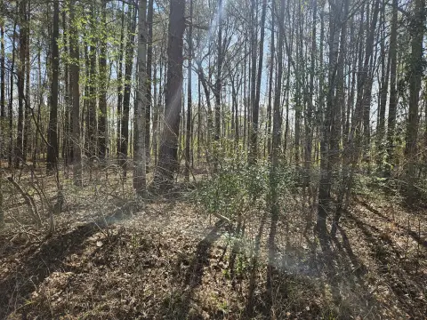 Summerton Land in Golf Resort